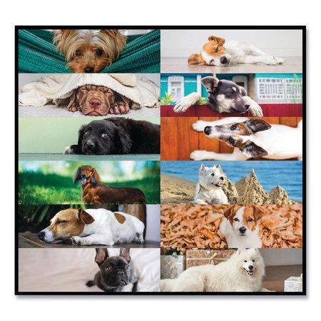 Blueline Pets Collection Monthly Desk Pad, 22 x 17, Puppies, 2020 C194116
